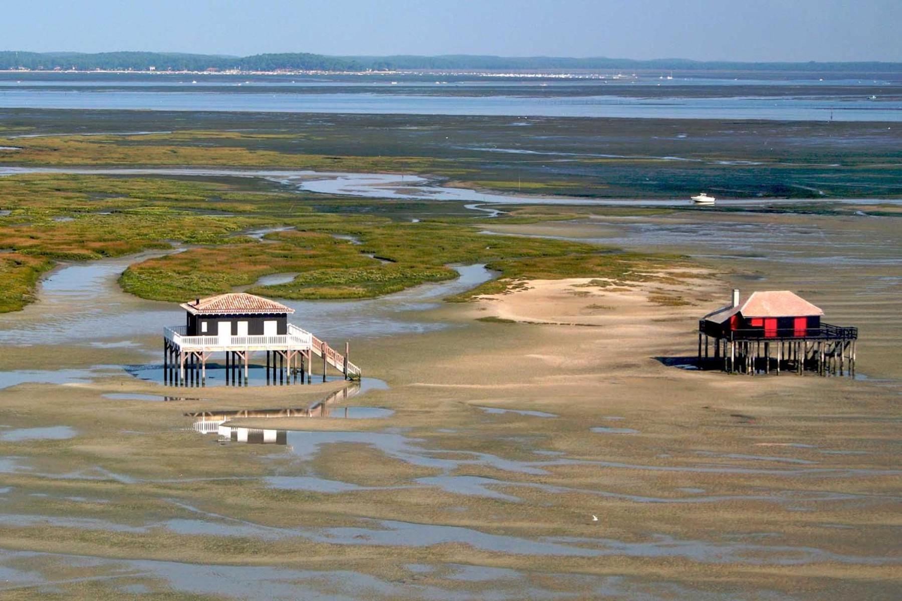 Un Toit Sur Le Bassin Claouey Lège-Cap-Ferret Exterior foto